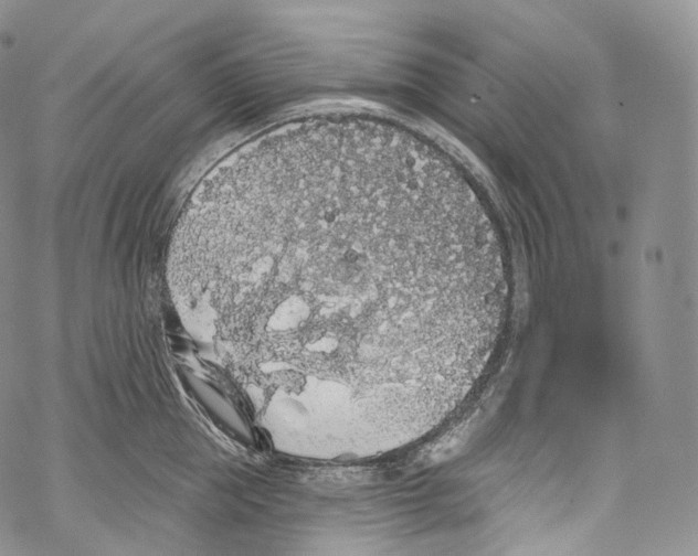 X0000069360953200606021450