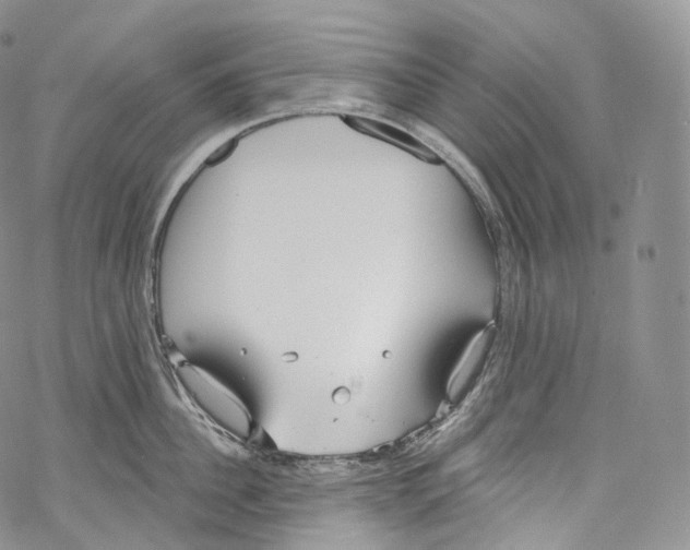 X0000069360956200606021450