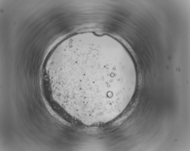 X0000069360957200606021450