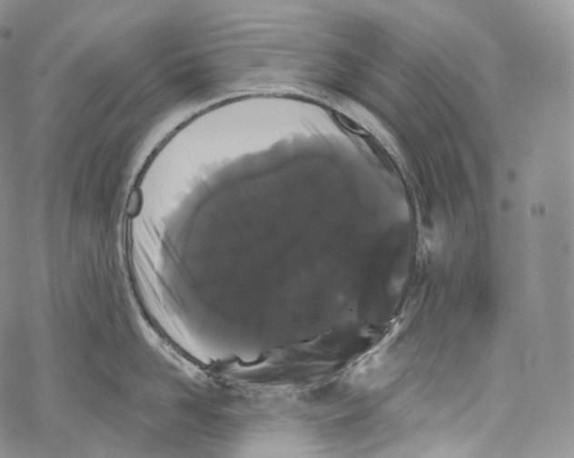 X0000069360958200606021450