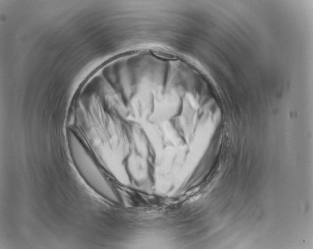 X0000069360959200606021450