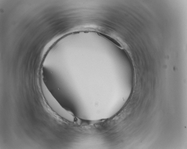 X0000069360960200606021450