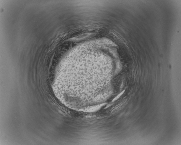 X0000069360961200606021449