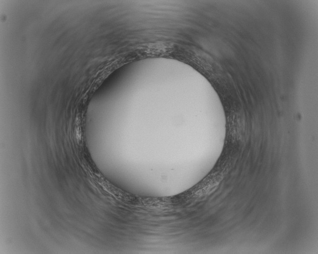 X0000069360962200606021449