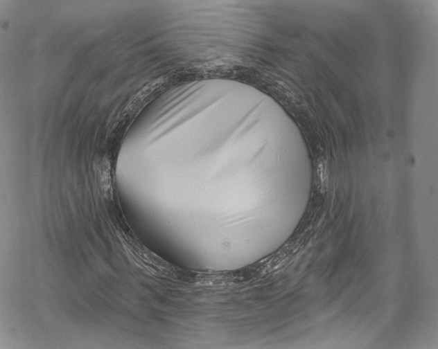 X0000069360963200606021449