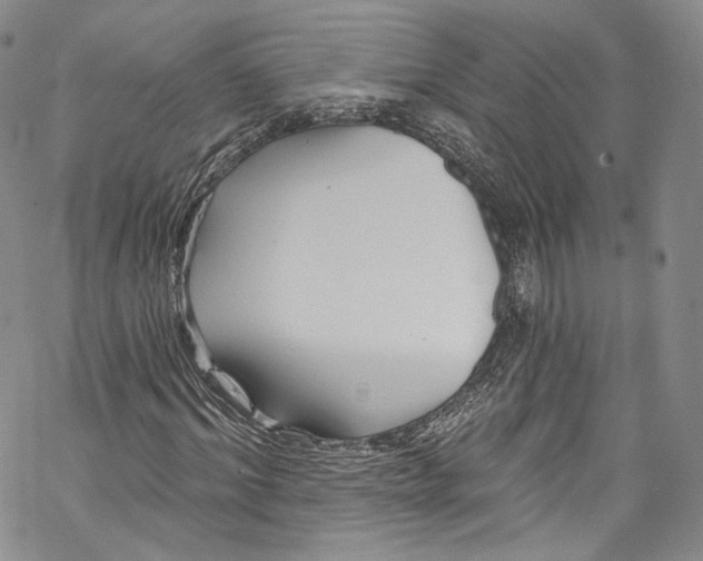 X0000069360964200606021449