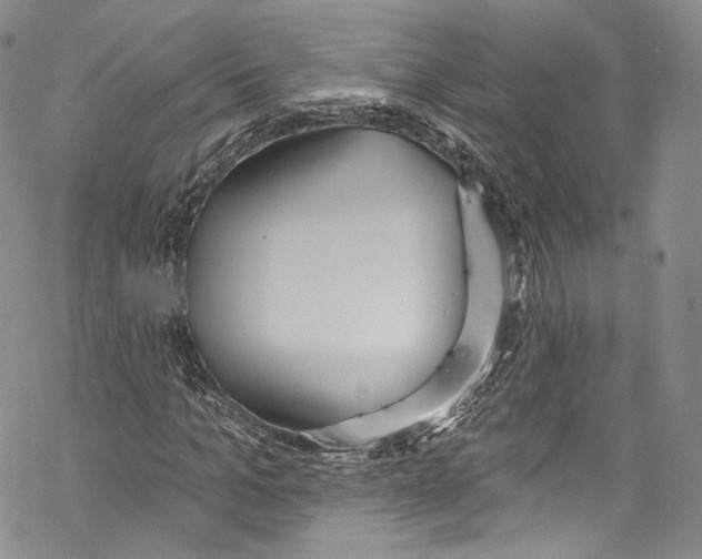 X0000069360965200606021449