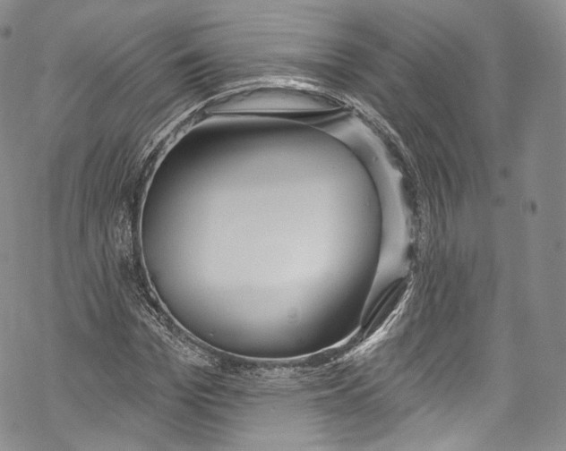 X0000069360969200606021449