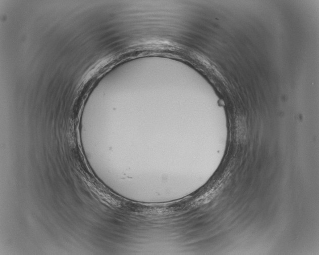 X0000069360970200606021449