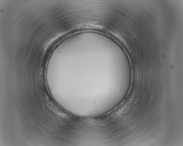 X0000069360971200606021449