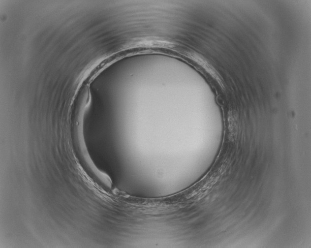 X0000069360972200606021449