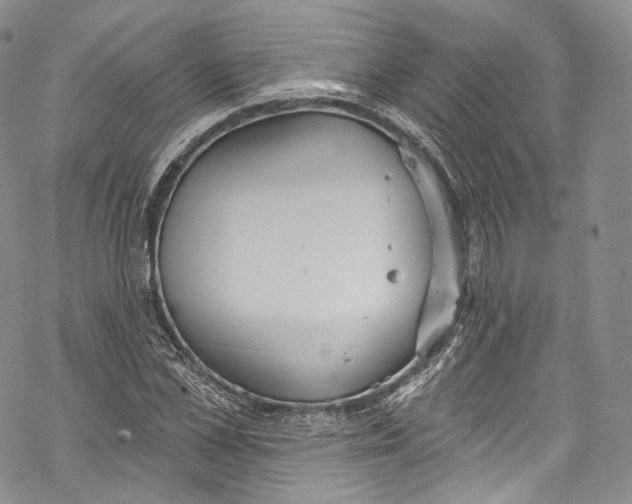 X0000069360973200606021449