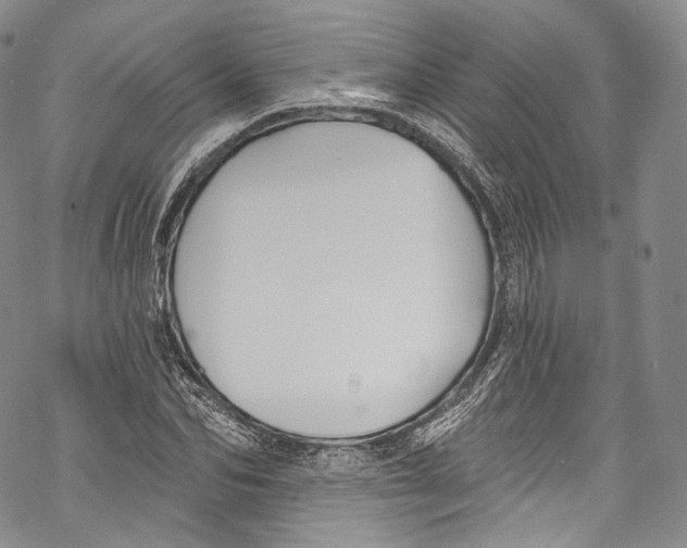 X0000069360974200606021449