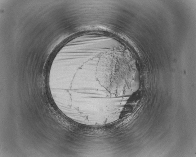 X0000069360975200606021449