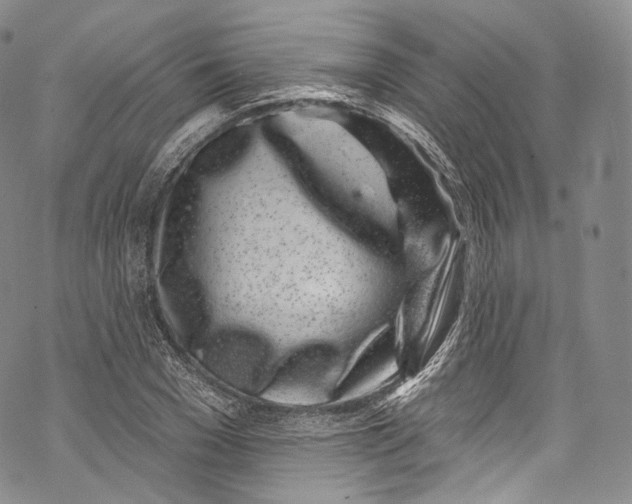 X0000069360977200606021449