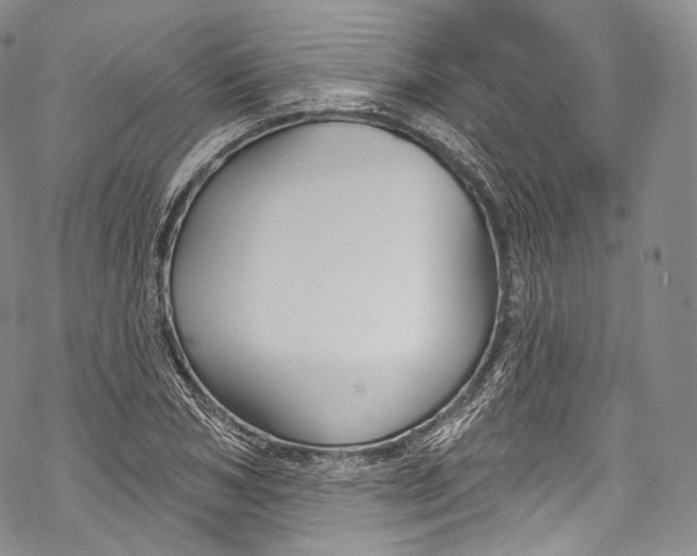 X0000069360978200606021449