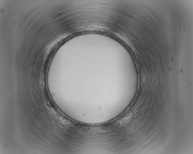 X0000069360979200606021449