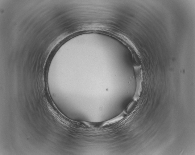 X0000069360980200606021449