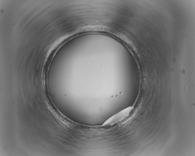 X0000069360981200606021449