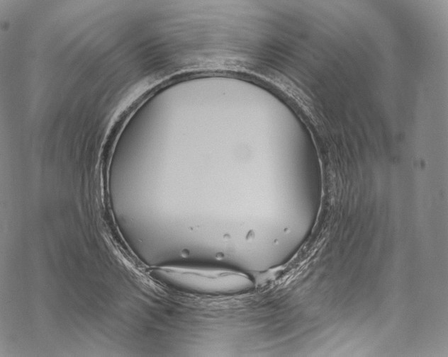 X0000069360982200606021449