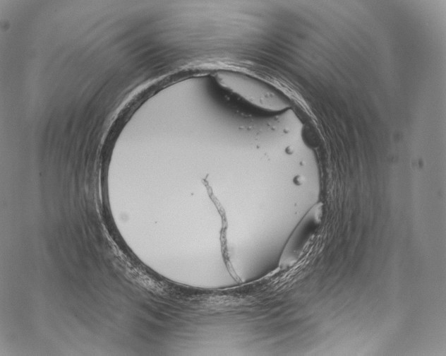 X0000069360984200606021449