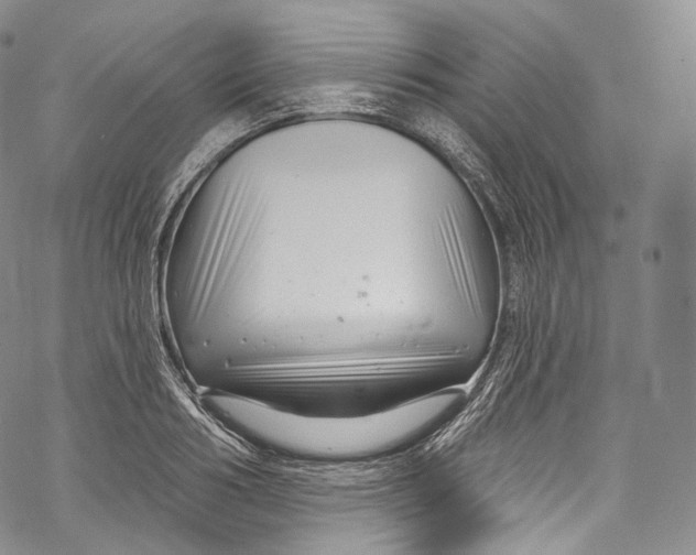 X0000069360986200606021448