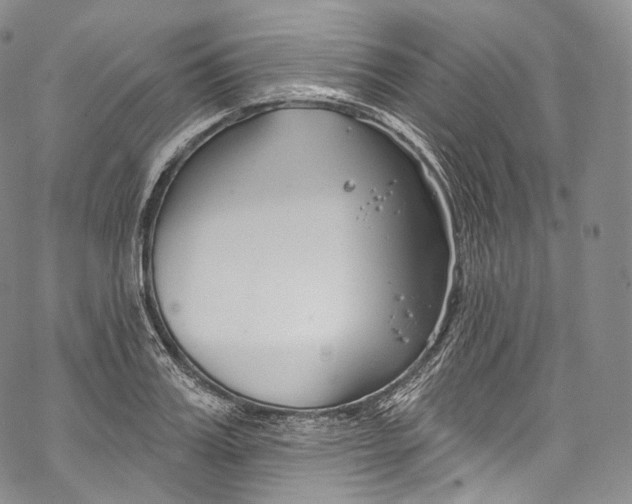 X0000069360987200606021448