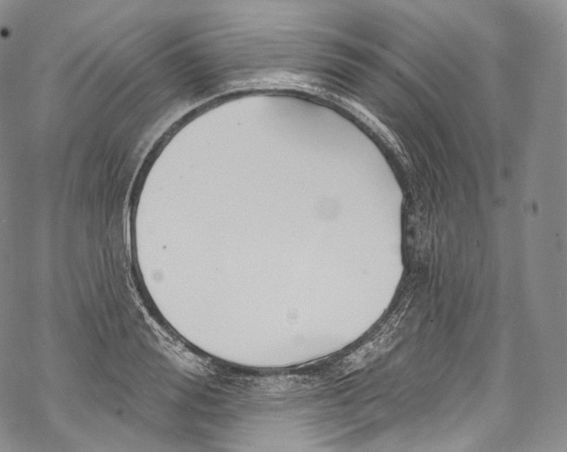 X0000069360988200606021448