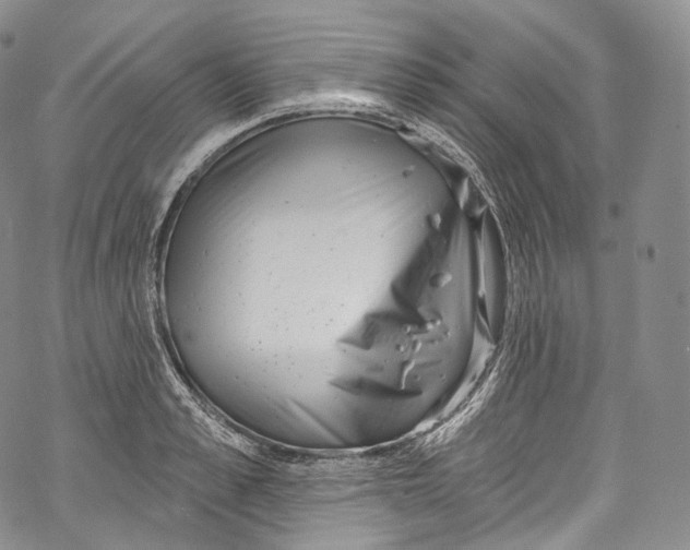 X0000069360989200606021448