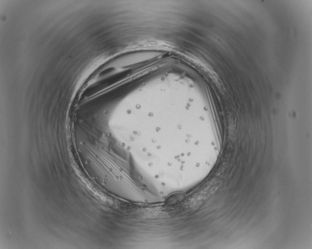 X0000069360990200606021448