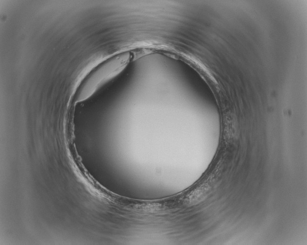 X0000069360991200606021448