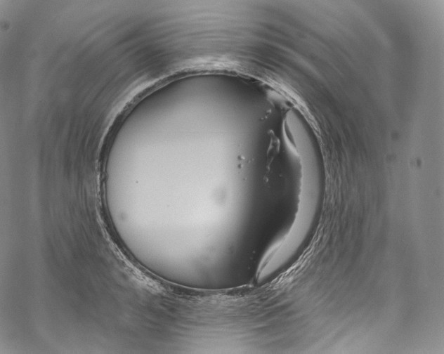 X0000069360992200606021448