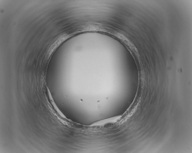 X0000069360993200606021448