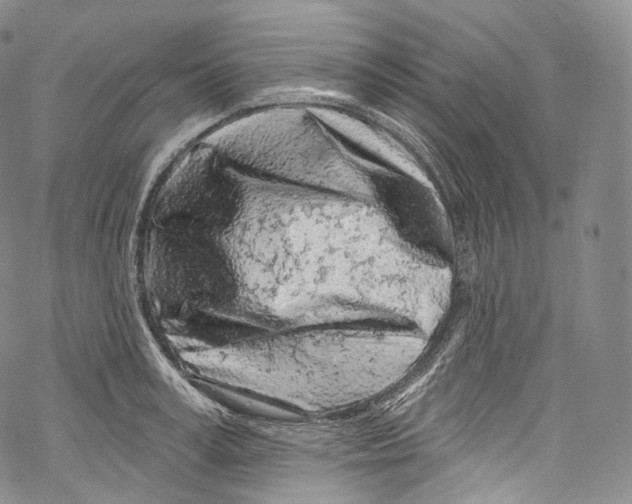 X0000069360995200606021448