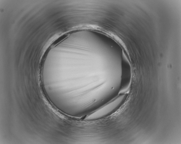 X0000069360997200606021448