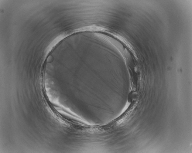 X0000069360998200606021448