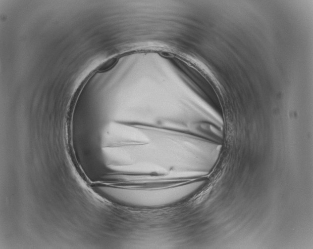 X0000069360999200606021448