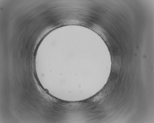 X0000069361000200606021448