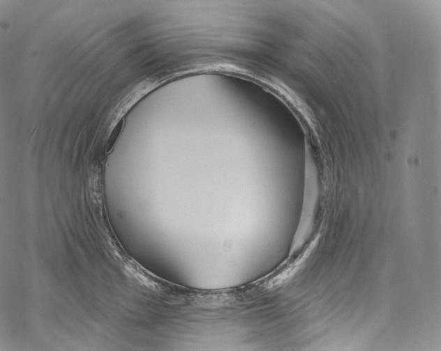 X0000069361001200606021448