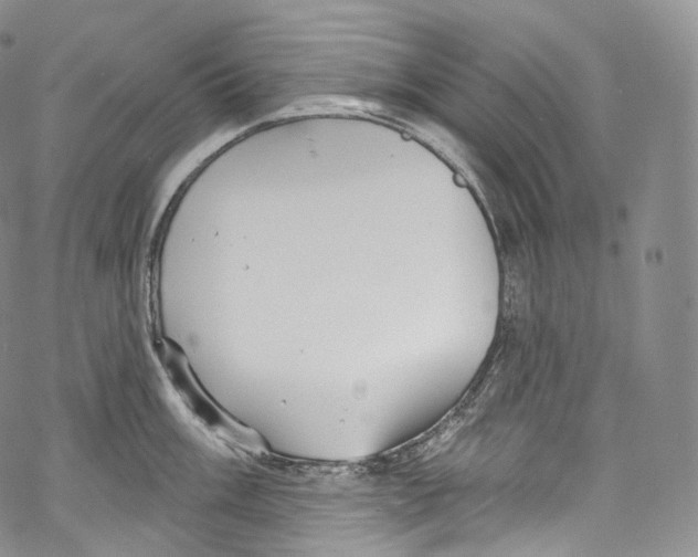 X0000069361003200606021448