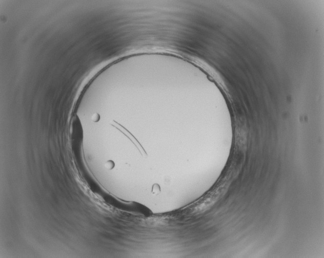 X0000069361004200606021448