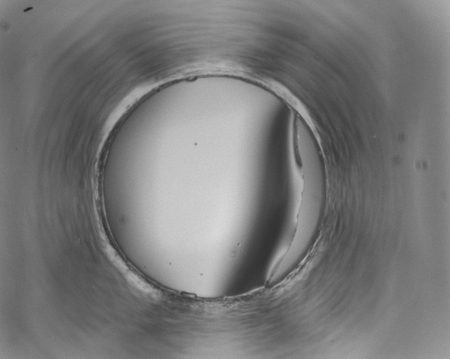 X0000069361005200606021448