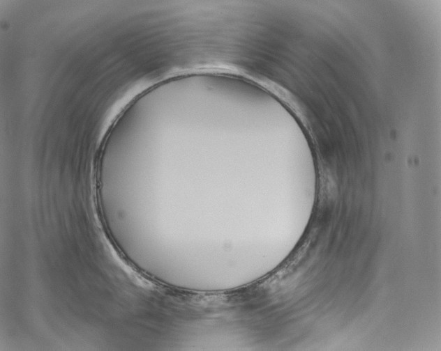 X0000069361006200606021448