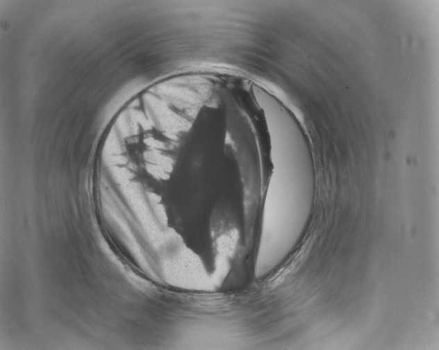 X0000069361007200606021448