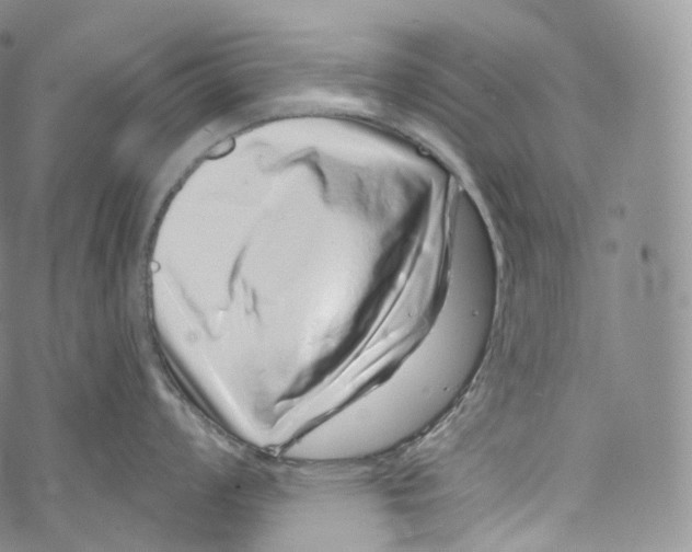 X0000069361008200606021448