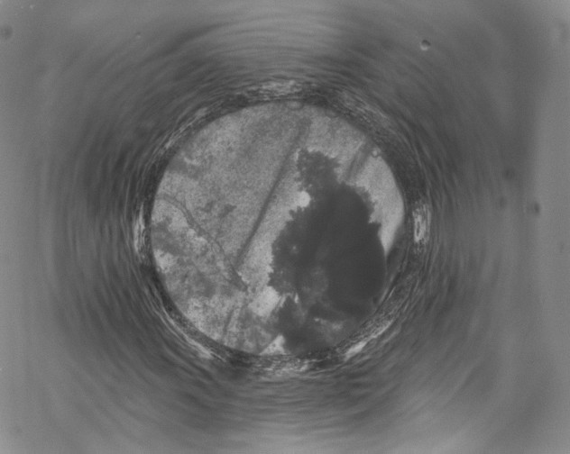 X0000069361011200606021447