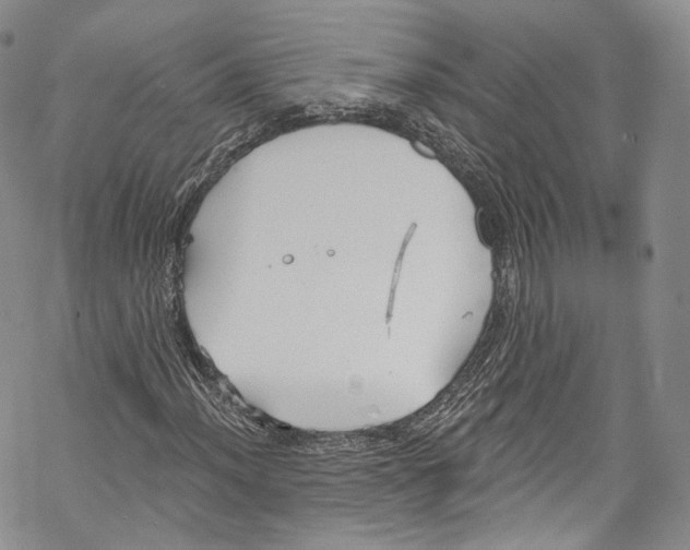 X0000069361012200606021447