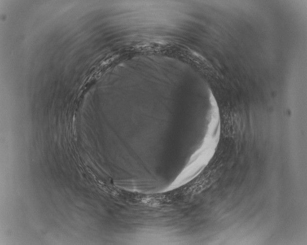 X0000069361013200606021447