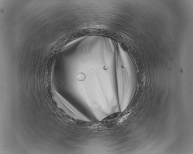 X0000069361014200606021447