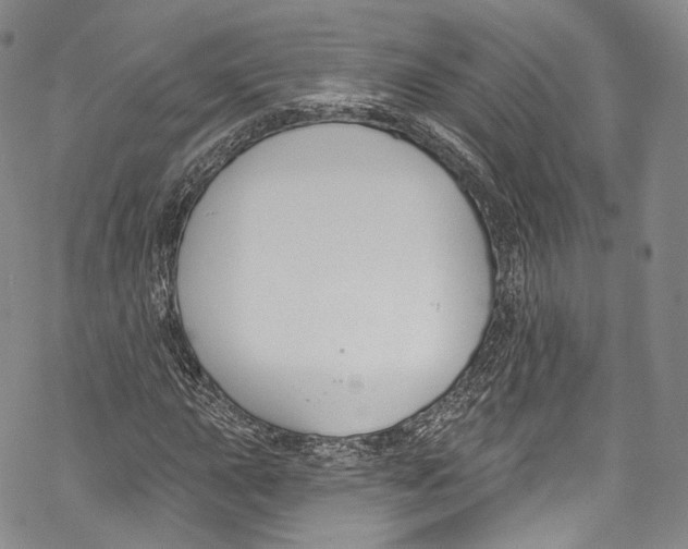 X0000069361015200606021447